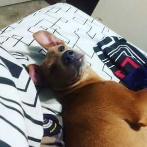 Meet your Posher, Connor